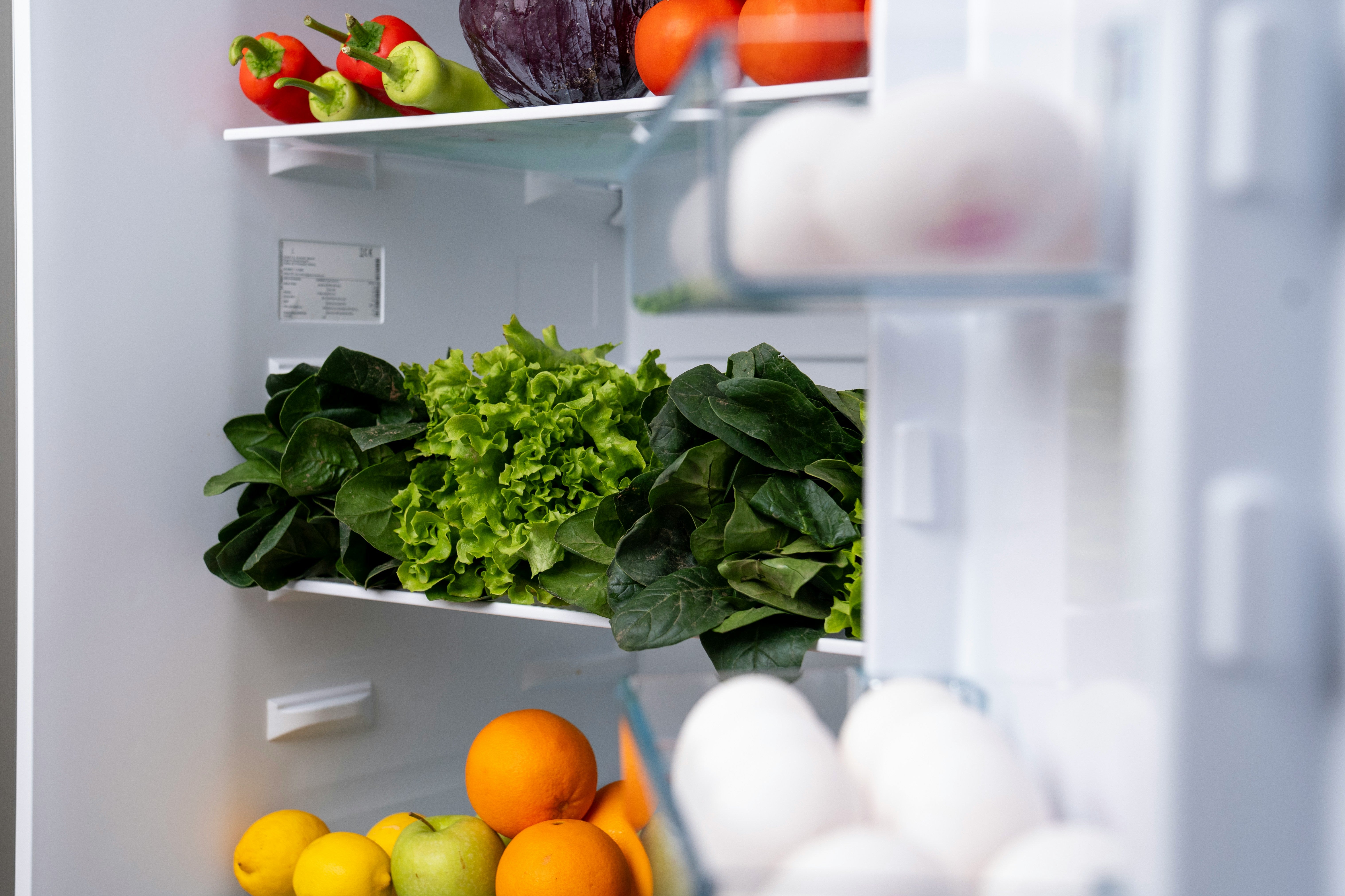 Picture of Food